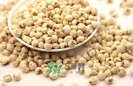 川貝母是苦的嗎？川貝母是涼性的嗎