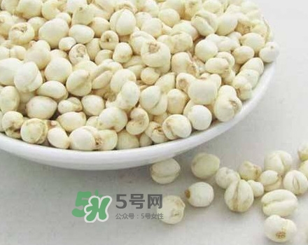 川貝母是川貝嗎？川貝母是酸性還是堿性？