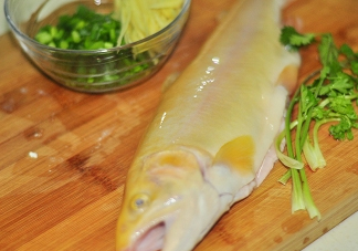 金鱒魚(yú)清蒸為什么變黑？食用金鱒魚(yú)有什么好處