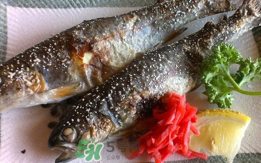 鱒魚是三文魚嗎？鱒魚是什么魚