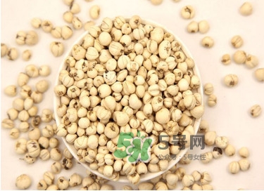 川貝母是苦的嗎？川貝母是涼性的嗎