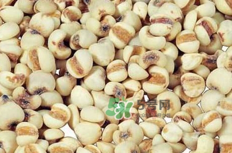 川貝母可以直接吃嗎？川貝母可以泡水喝嗎