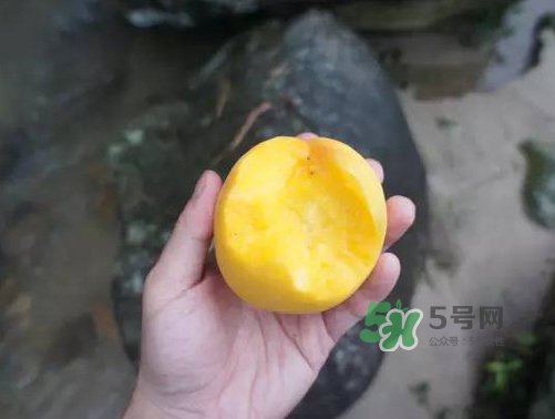 炎陵黃桃什么時(shí)候成熟？炎陵黃桃好吃嗎？