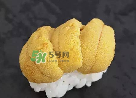 海膽怎么處理？海膽可以生吃嗎？