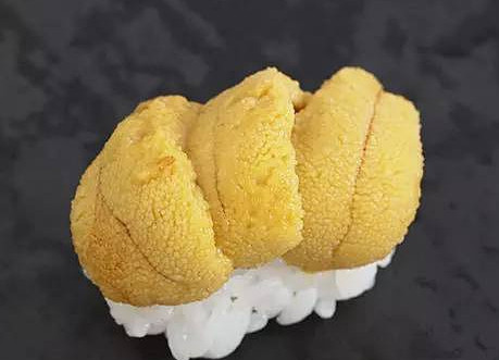 活海膽怎么殺？海膽怎么開殼？