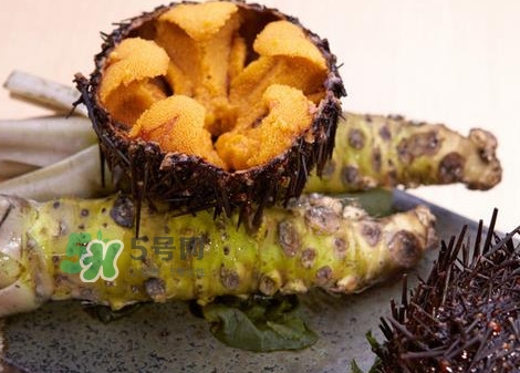 被海膽刺到怎么辦？吃海膽對身體有什么好處