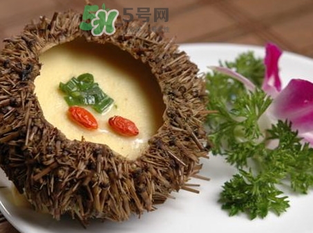 海膽死了還能吃嗎？海膽不能跟什么一起吃