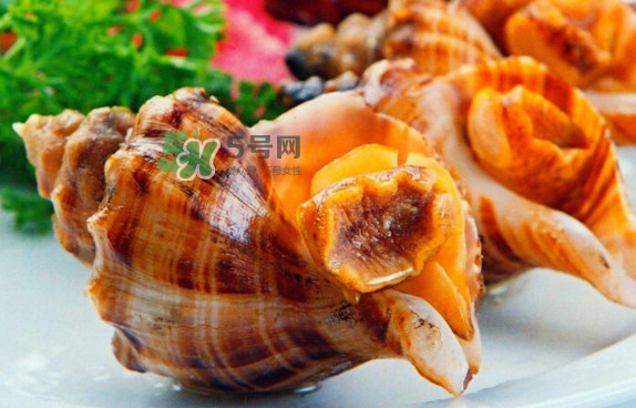 為什么海螺殼里面會(huì)有聲音？海螺和韭菜能不能一起吃