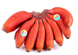 紅香蕉是哪里的特產(chǎn)？紅香蕉什么時(shí)候成熟？