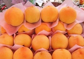 錦繡黃桃什么時(shí)候成熟？錦繡黃桃?guī)自鲁墒欤?><p><strong>錦繡黃桃什么時(shí)候成熟？錦繡黃桃?guī)自鲁墒欤?/strong></p></a></li> <li><a href=