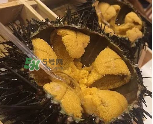 海膽貴嗎？海膽多少錢一斤？