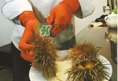 海膽是發(fā)物嗎？海膽是寒性的嗎