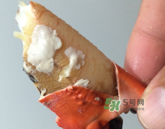 赤甲紅有母蟹嗎？赤甲紅為什么沒(méi)有母蟹？