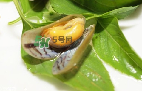 薄殼怎么讀？薄殼怎么洗干凈