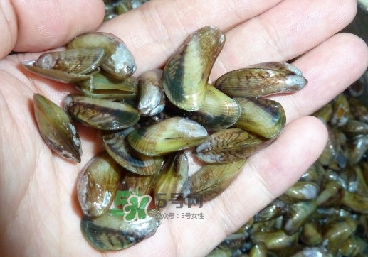 薄殼米是什么？薄殼怎么炒好吃？
