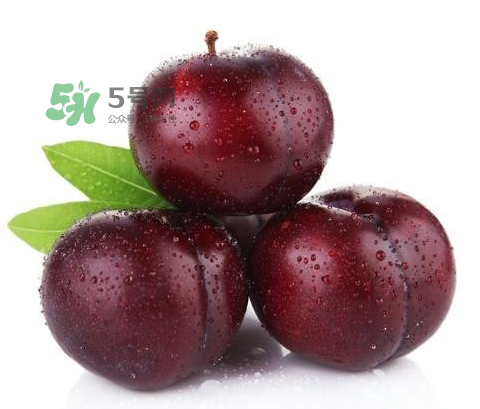 黑布林可以泡酒嗎？黑布林怎么吃？
