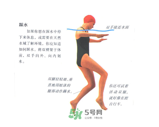 游泳怎么踩水？游泳踩水技巧圖解