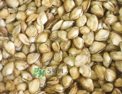 海瓜子怎么做好吃？海瓜子怎么清洗