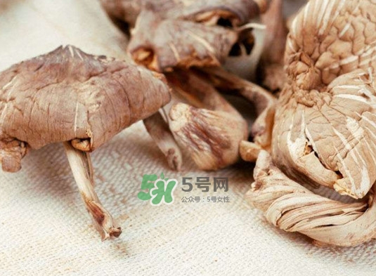 雞樅菌怎么讀？雞樅菌怎么做好吃？