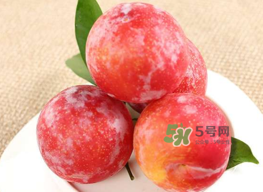 紅布林孕婦可以吃嗎？孕婦可以吃紅布林嗎？