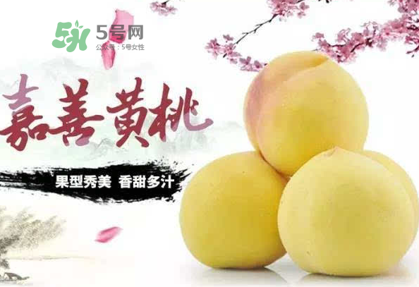嘉善黃桃多少錢一斤？嘉善黃桃的上市時(shí)間