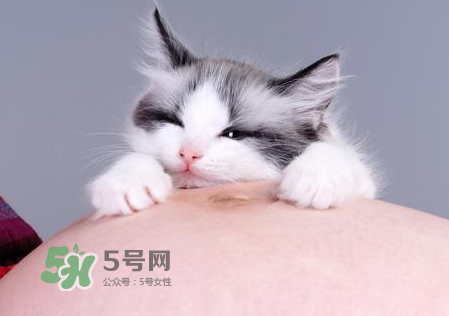 孕婦被貓抓了怎么辦？孕婦被貓抓傷了對(duì)寶寶有什么影響？