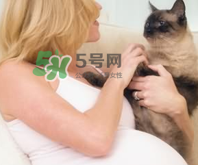 孕婦被貓抓了怎么辦？孕婦被貓抓傷了對(duì)寶寶有什么影響？
