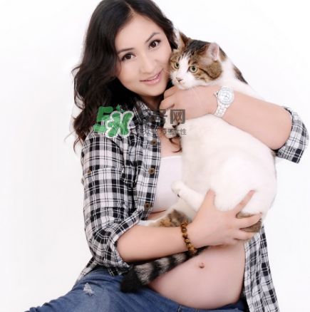 孕婦被貓抓了怎么辦？孕婦被貓抓傷了對(duì)寶寶有什么影響？