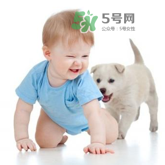 寵物對(duì)嬰兒的影響 寵物對(duì)嬰兒的危害有哪些？