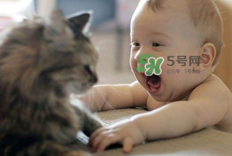 嬰兒被貓抓了怎么辦？嬰兒被貓咪咬了怎么辦？