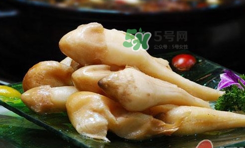 雞樅菌什么時候有？雞樅菌生長在什么地方