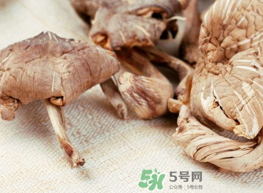 雞樅菌有毒嗎？雞樅菌不能和什么一起吃？