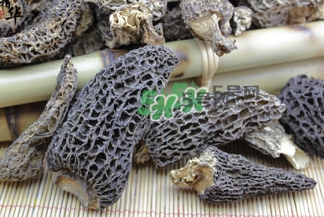 羊肚菌最大產地是哪兒？羊肚菌怎么泡發(fā)