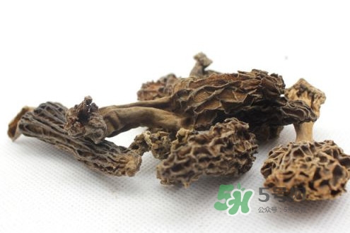 羊肚菌能治什么??？羊肚菌能冷凍保鮮嗎