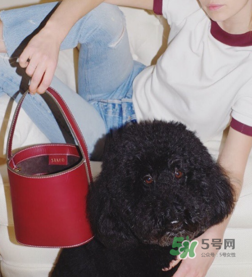 staud水桶包多少錢？staud水桶包專柜價格