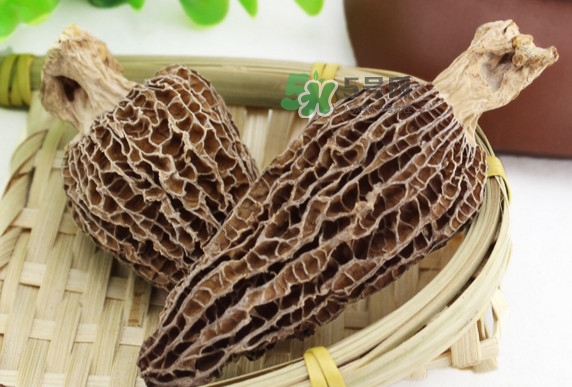 羊肚菌為什么那么貴？羊肚菌為什么這么貴