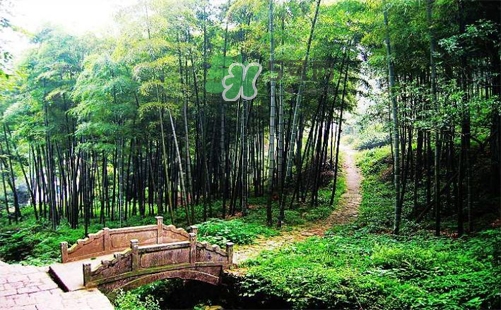 夏天去哪里旅游最好？夏天旅游哪里涼快？