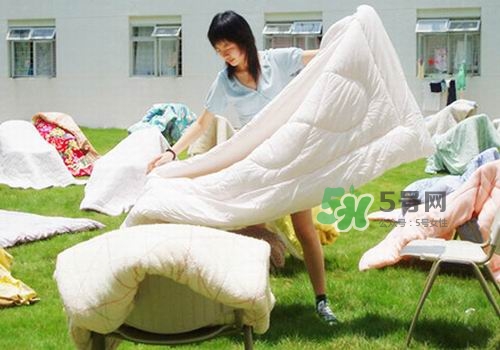 三伏天能曬被子嗎？三伏天曬被子好嗎？
