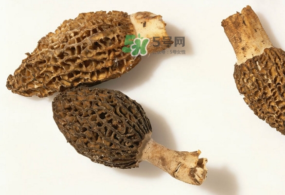 羊肚菌可以泡茶喝嗎？羊肚菌可以生吃嗎