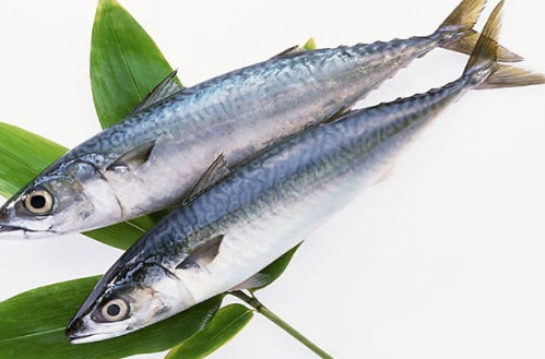 鳡魚吃什么？翹嘴魚和鳡魚有什么區(qū)別