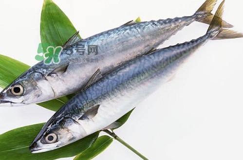一般鳡魚能長到多大？鳡魚與假鳡魚怎么區(qū)分
