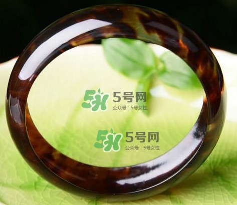 玳瑁是什么？玳瑁是國家保護動物嗎？