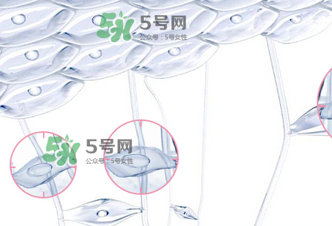 嬌韻詩(shī)青春賦活兩件套裝多少錢？嬌韻詩(shī)全新青春賦活系列怎么樣？