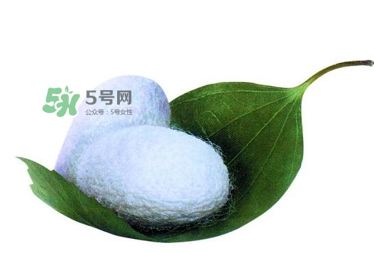 蠶繭多少錢一斤2017？2017年蠶繭價(jià)格是多少？