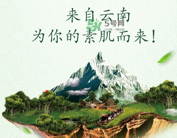 采之汲是什么牌子？采之汲是什么檔次？