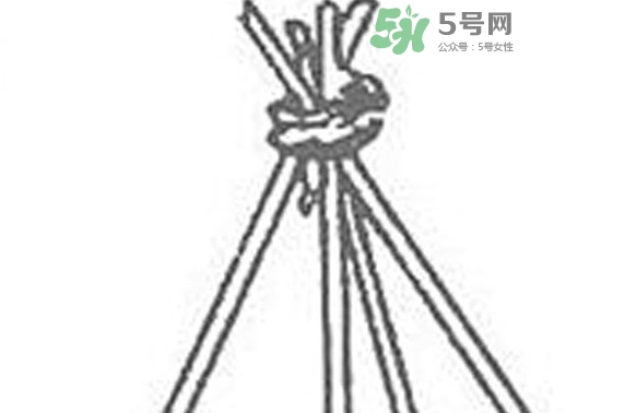 缸豆什么時(shí)候搭架？缸豆要怎樣搭架子