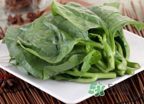 木耳菜和什么食物相克？木耳菜不能和什么一起吃