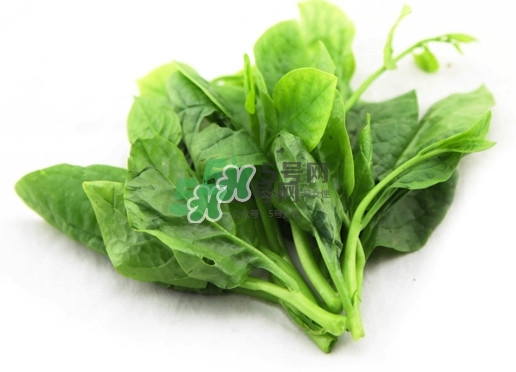 木耳菜怎么清洗？木耳菜怎么擇？