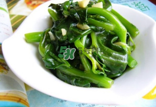 木耳菜是什么季節(jié)的菜？木耳和木耳菜有區(qū)別嗎