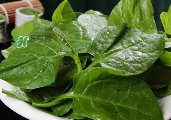 木耳菜可以生吃嗎？木耳菜可以涼拌嗎